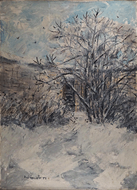 Point Breeze back yard in snow